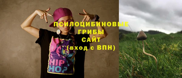 PSILOCYBIN Абинск